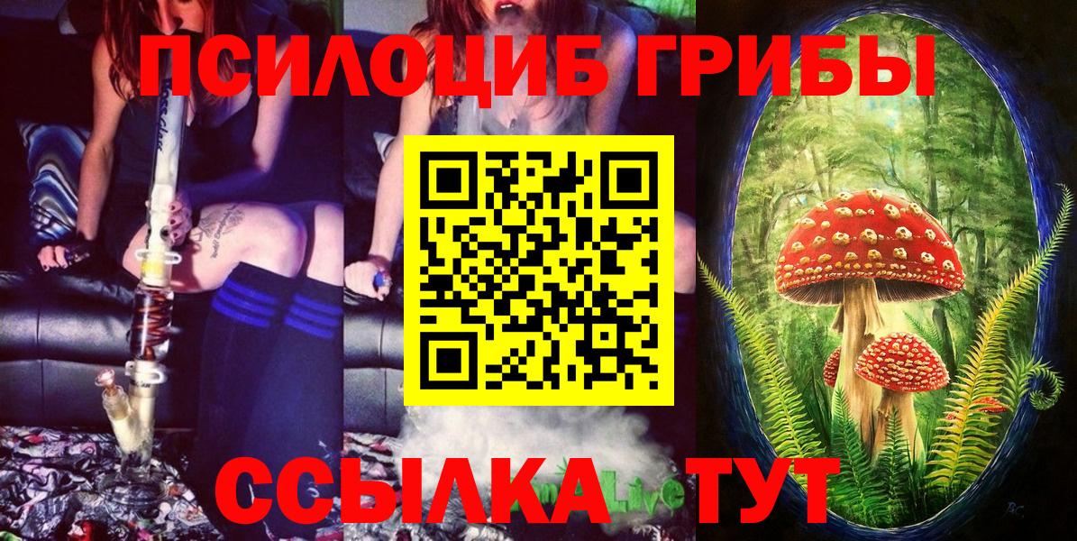 Псилоцибиновые грибы прущие грибы Елизово