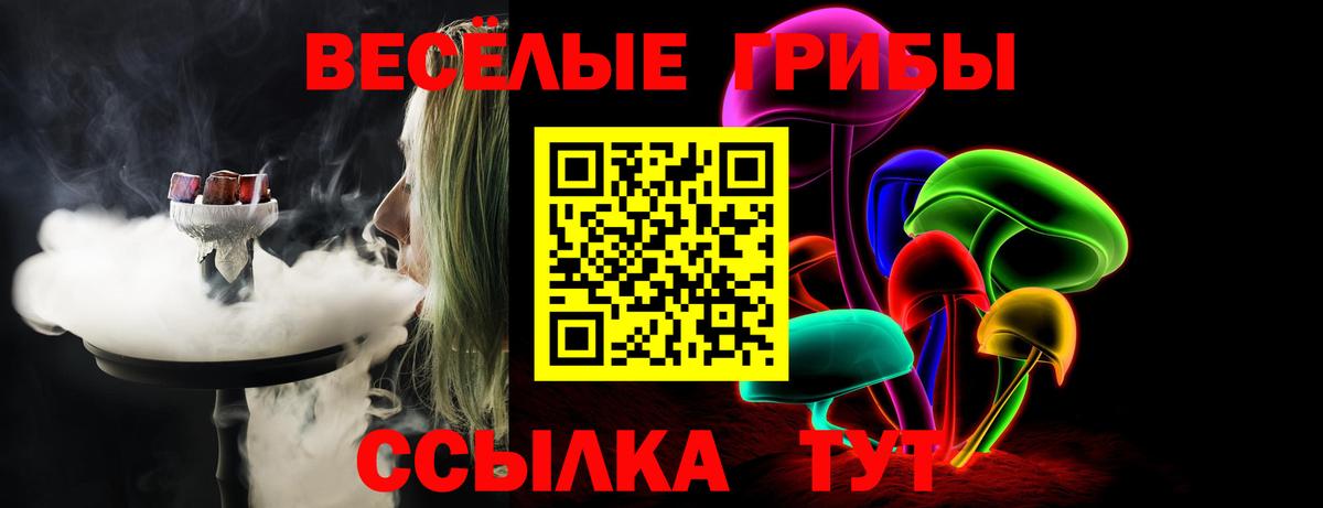 Псилоцибиновые грибы прущие грибы  наркота  Вход с VPN  Елизово  Псилоцибиновые грибы ЛСД 